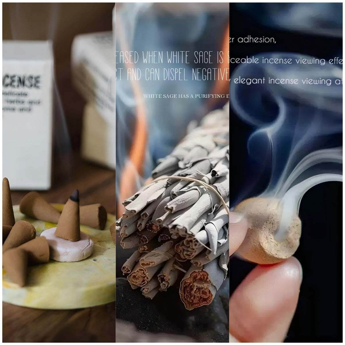 SCENTS