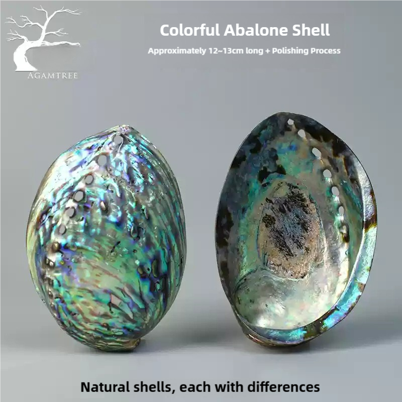 Coastline Cradle — Iridescent Abalone Shell Incense Burner with Handcrafted Wooden Tri-Pod Base for Spiritual Relaxation, Yoga & home scene